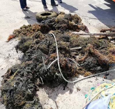 Εβγαλαν 100 κιλά… σαβούρα από το λιμάνι της Κορώνης