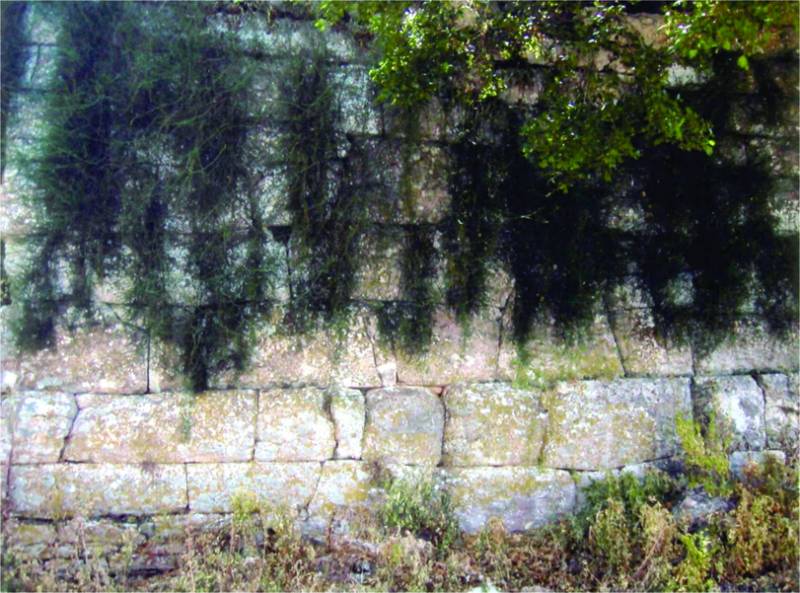 Κάστρα και οχυρά της Μεσσηνίας: Στο λόφο Στυλάρι