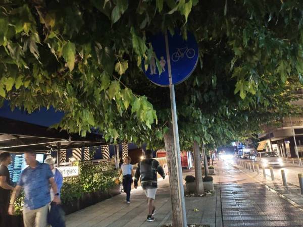 Κλαδιά κρύβουν τις πινακίδες