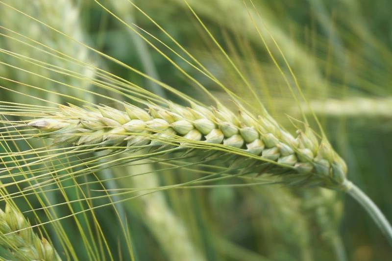 Τι λένε τα ζώδια σήμερα (15/7)