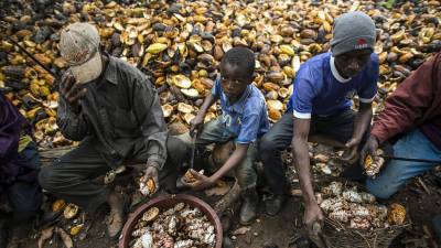 Παιδική εργασία: Μείωση παγκοσμίως, αλλά με πολύ αργούς ρυθμούς
