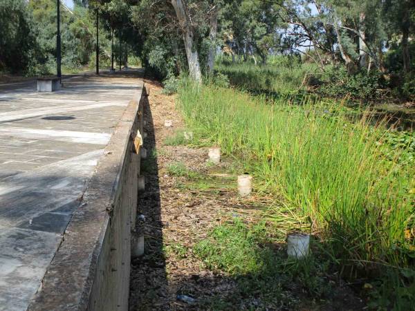 Μνημείο κακοτεχνίας στον Άγιο Φλώρο