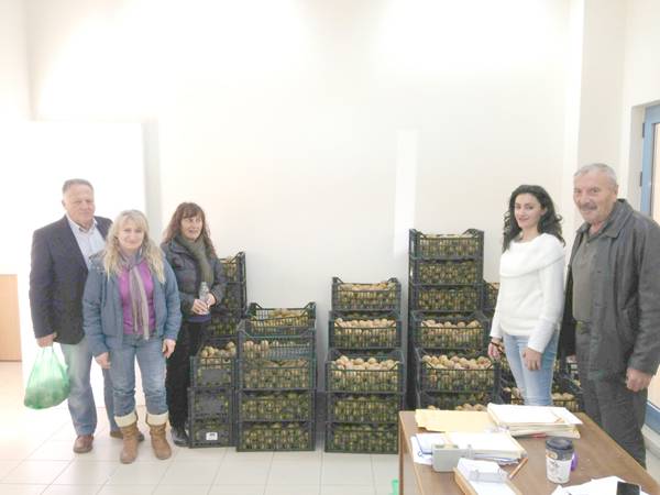 4 τόνοι ακτινίδια σε 240 δικαιούχους στο Δήμο Τριφυλίας