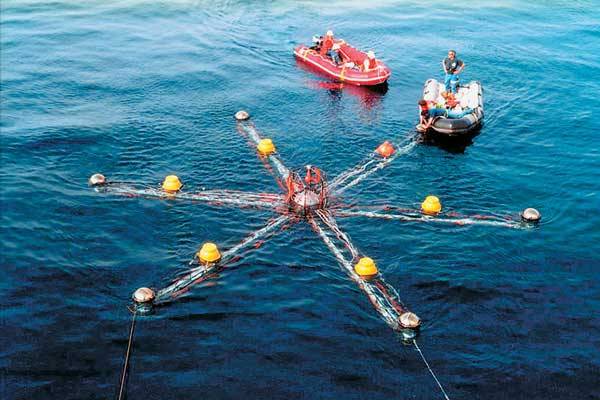 Τίτλοι τέλους για το NESTOR