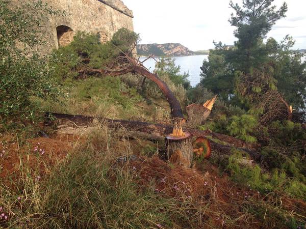 Αρμαγεδδών στο Νιόκαστρο