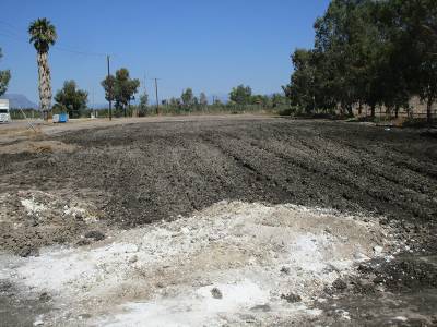 Τρέχει τώρα ο Νίκας για την μπόχα και απειλεί με μηνύσεις για τα λύματα (βίντεο)