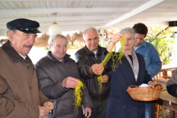 Δίχτυ φυλαχτό