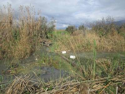 Ελεγχοι για συμμόρφωση και τήρηση της νομιμότητας