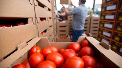 Από σήμερα οι αιτήσεις υπαγωγής στο καθεστώς της Αγροδιατροφής του νέου Αναπτυξιακού Νόμου