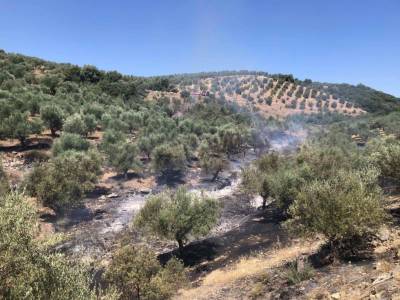 Υπό έλεγχο η φωτιά στο Αριστοδήμειο του δήμου Μεσσήνης