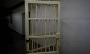 3 χρόνια σε Καλαματιανό για 6,1 κιλά χασίς και 5 δέντρα