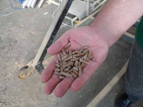 Πέλετ από λιόκλαρα για θέρμανση δημόσιων κτηρίων