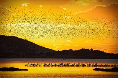 Απολογισμός βιωσιμότητας από την Costa Navarino