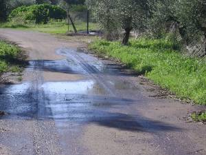 Λύματα του βιολογικού σε χωράφια των Φιλιατρών