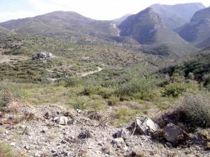 Ατυχής επιλογή το Παλιοροβούνι υποστηρίζει ο Σταθόπουλος