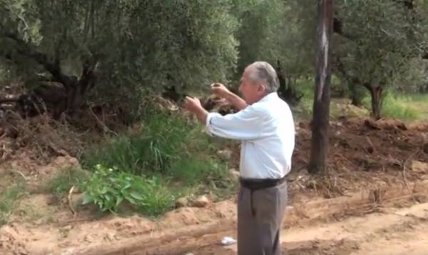 Ανοιχτές “πληγές” στη Μεσσηνία, ένα μήνα από τις πλημμύρες (βίντεο)