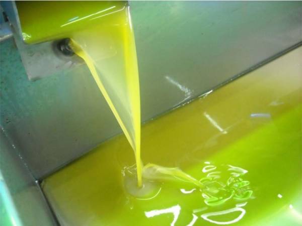 Δεν αξιοποιήθηκε όπως έπρεπε το ΠΟΠ Καλαμάτα πριν την επέκταση