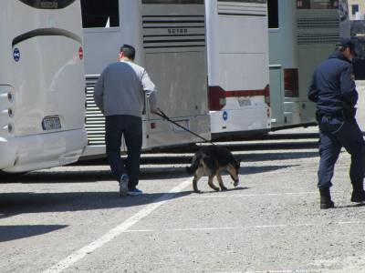 Η Ιάνα περιπολεί