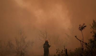 Εποχικός πυροσβέστης τραυματίστηκε σοβαρά στο πόδι σε δασική φωτιά στη Ζάκυνθο