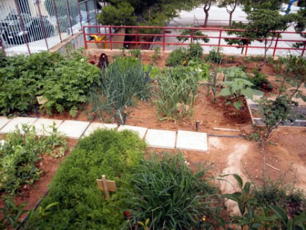 Επιστροφή στη γεωργία μέσα από την εκπαίδευση