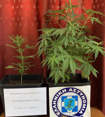 Ανατολική Μάνη: Σύλληψη 58χρονου με χασίς στο Οίτυλο