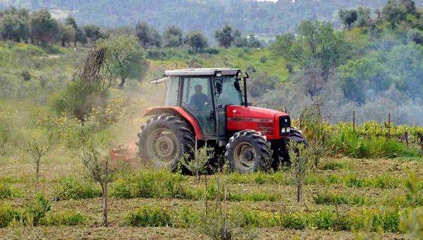Κρίσιμη συνέλευση στον Αγροτικό Συνεταιρισμό Γαργαλιάνων