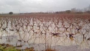 Πλημμύρισαν καλλιέργειες στο οροπέδιο της Μαντινείας