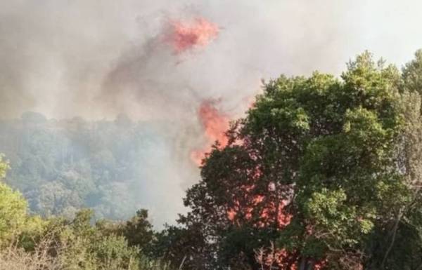 Δήμος Καλαμάτας: 50 προσλήψεις για αντιπυρική προστασία