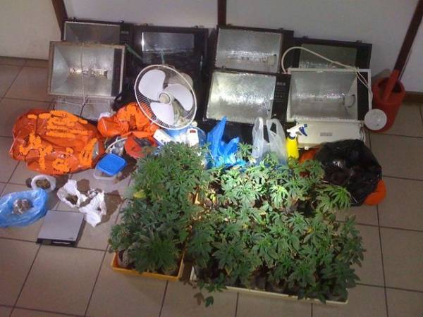 Υδροπονική καλλιέργεια…. χασίς στην Ανδρούσα