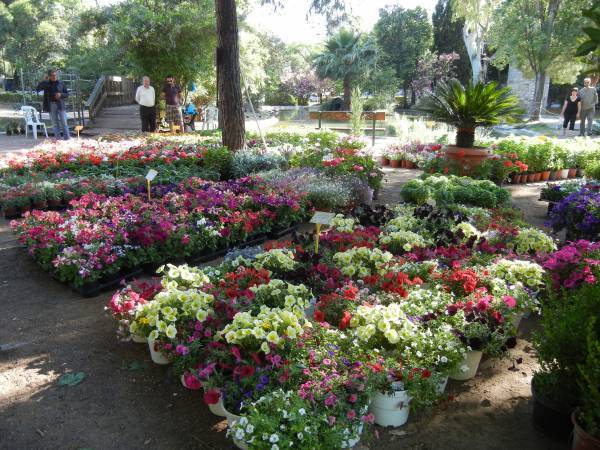 Ετοιμασίες για τη 2η Ανθοκομική Εκθεση