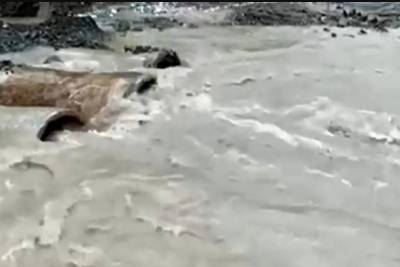 Σε συναγερμό οι χώρες του Κόλπου λόγω των καταρρακτωδών βροχών