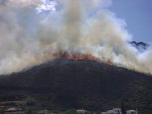 Υπό πλήρη έλεγχο η φωτιά στο χωριό Ροδιά της Τριφυλίας