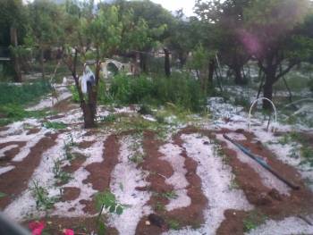 Ζημιές στη Μεσσηνία από την ισχυρή χαλαζόπτωση! (φωτογραφίες)