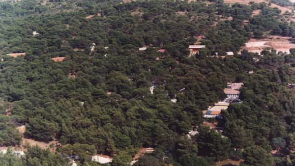 Κυβερνητική σιωπή για τους δασικούς χάρτες παρά τη διογκούμενη αντίδραση