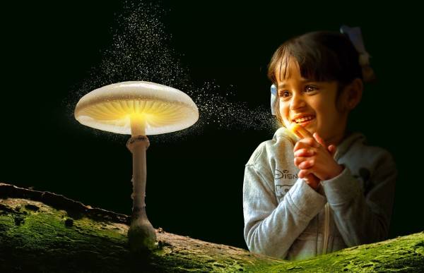 Η Κεντροαριστερά δεν έχει αφήγημα