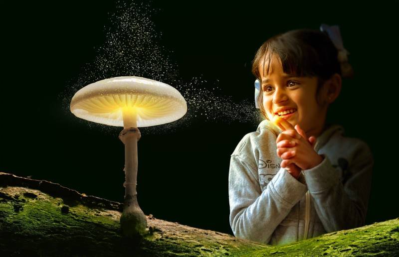 Η Κεντροαριστερά δεν έχει αφήγημα