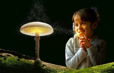 Η Κεντροαριστερά δεν έχει αφήγημα