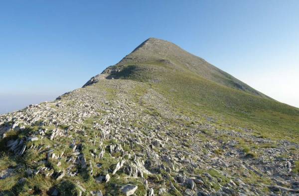 &quot;Αντάρτικο πόλεων&quot; από τον Ταΰγετο ετοίμαζαν οι 5 βομβιστές