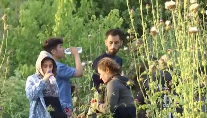 ΕΕ- Μ. Σχοινάς για Εβρο: Στα εξωτερικά της ΕΕ υπάρχει ανθρωπισμός και αλληλεγγύη