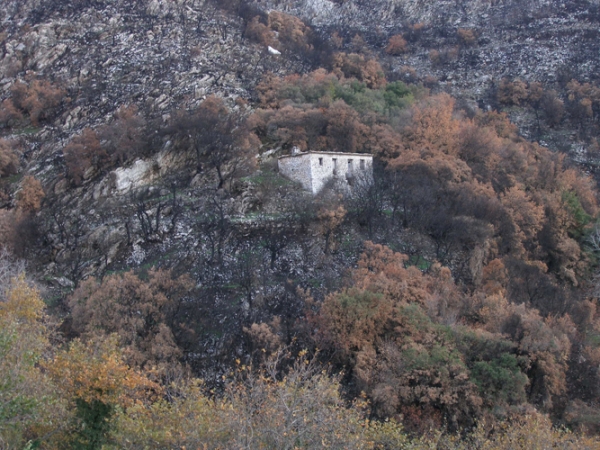 Εως τις 29 Ιουνίου οι αιτήσεις: Ενα χρόνο πίσω τα πυρόπληκτα δάνεια