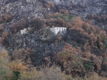 Εως τις 29 Ιουνίου οι αιτήσεις: Ενα χρόνο πίσω τα πυρόπληκτα δάνεια