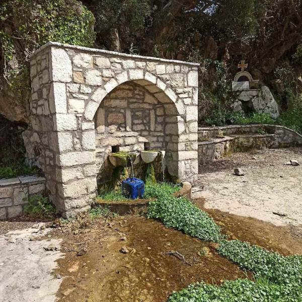 Τρεις λαλούν και …δυο ψηφίζουν