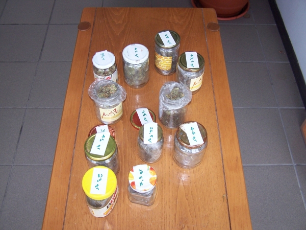 Πιάστηκε την περιοχή της Τρίπολης με 360 γραμμάρια χασίς