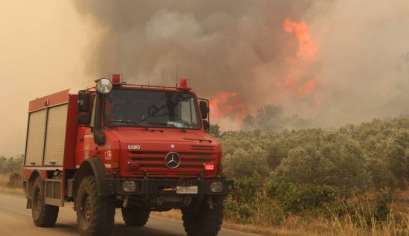 Παρέμβαση του Αρείου Πάγου για το περιστατικό ρατσιστικής βίας και τις φωτιές στον Έβρο