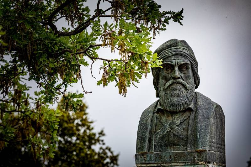 Διαγωνισμός για τα υπεραιωνόβια δέντρα της Πελοποννήσου