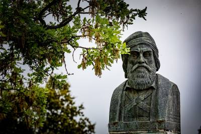 Διαγωνισμός για τα υπεραιωνόβια δέντρα της Πελοποννήσου