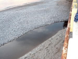 Μετά τις καταγγελίες έκαναν έλεγχο αλλά... δεν βρήκαν λιόζουμα στο χείμαρρο Κερεζένια