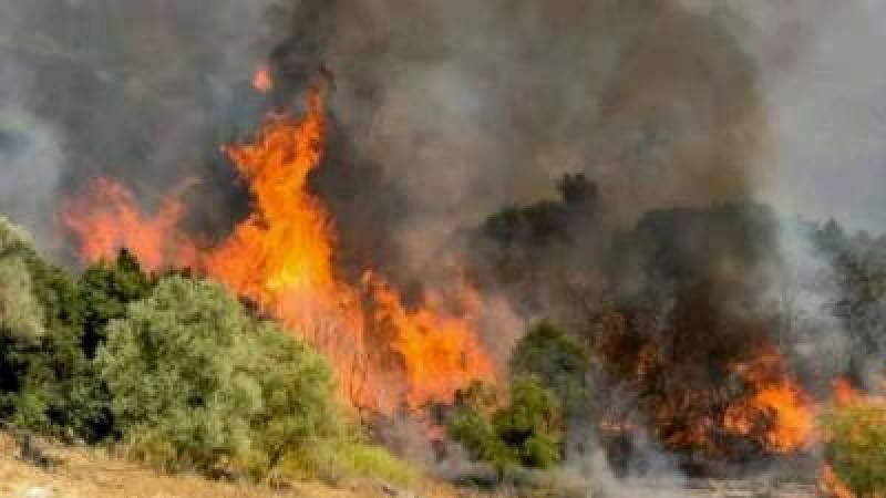 Πολύ υψηλός κίνδυνος πυρκαγιάς στη Μεσσηνία