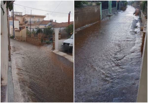 Ποτάμι στην Ανάληψη