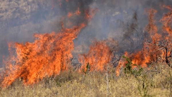Φωτιά στον Ταΰγετο